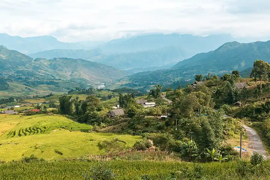 Randonnée dans la vallée de Muong Hoa : le cœur des rizières en terrasses