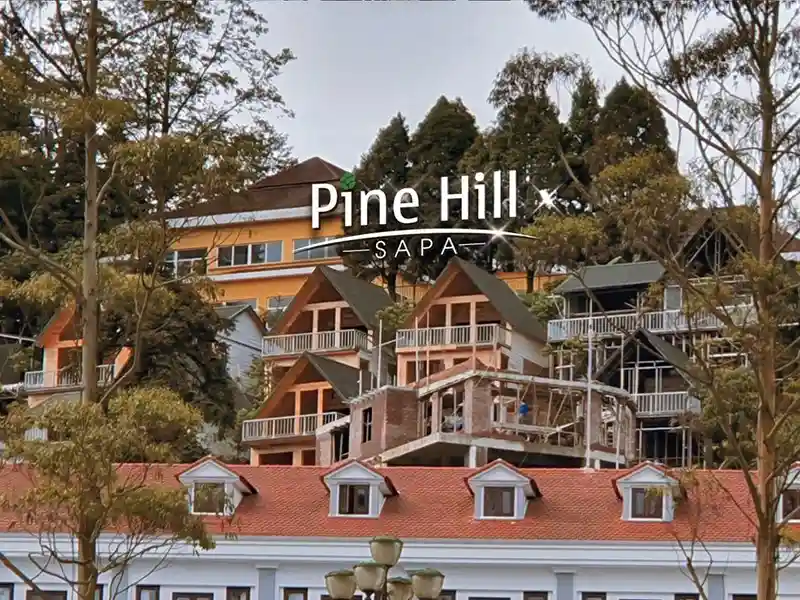 Sapa Pine Hill Eco Lodge